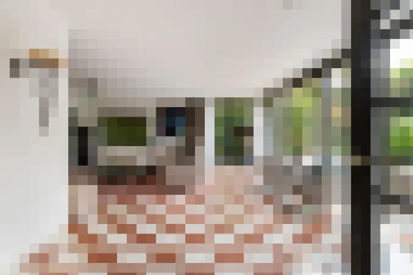 Mohammed Roemhof 6 Rotterdam thumbnail 11