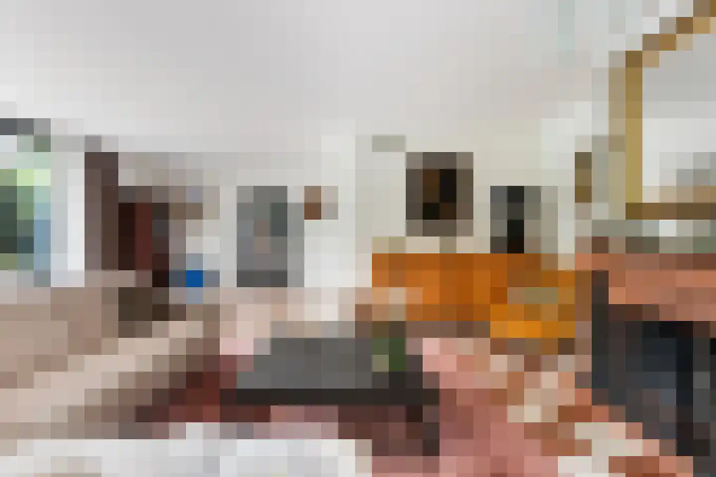 Mohammed Roemhof 6 Rotterdam thumbnail 18