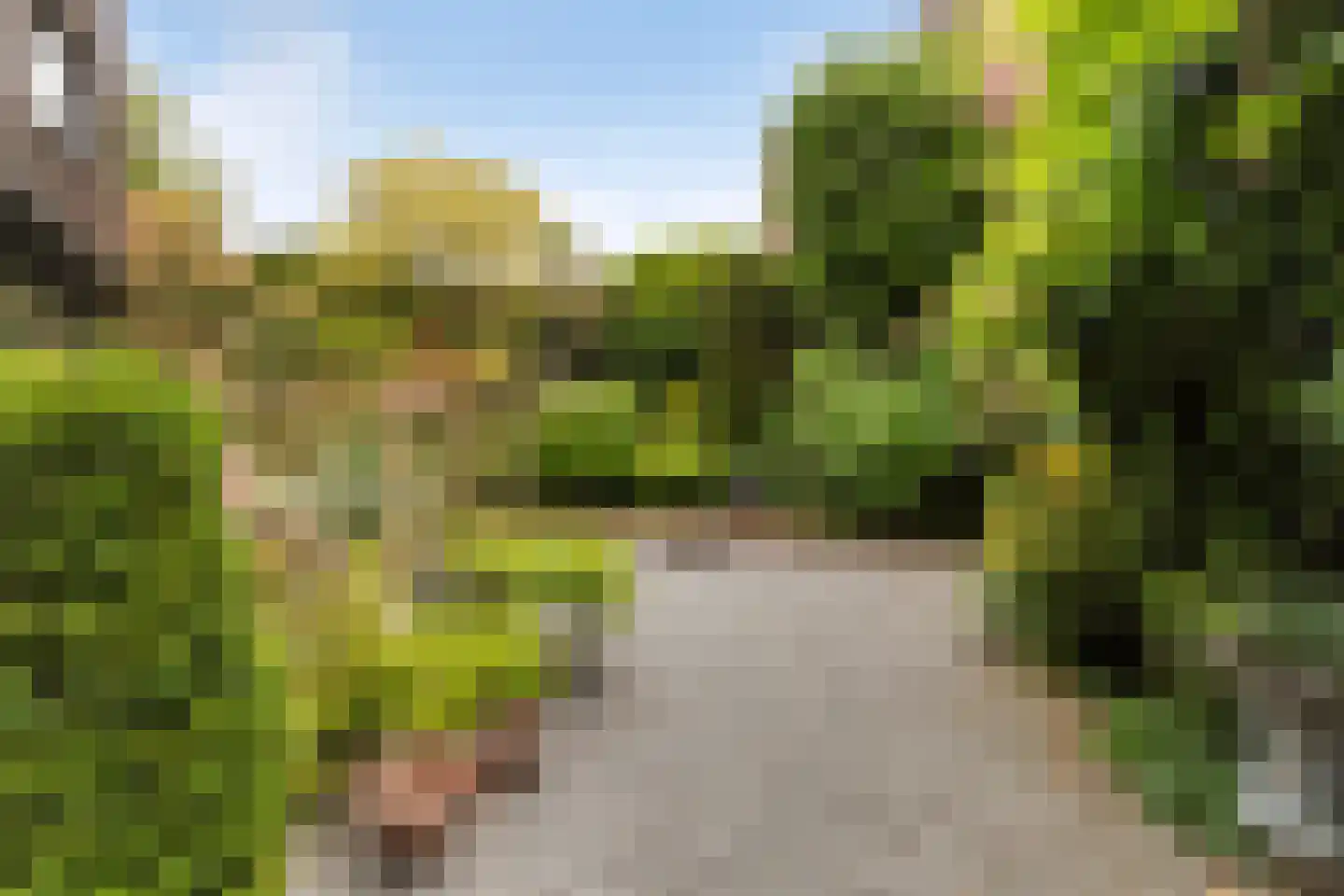 Mohammed Roemhof 6 Rotterdam thumbnail 6