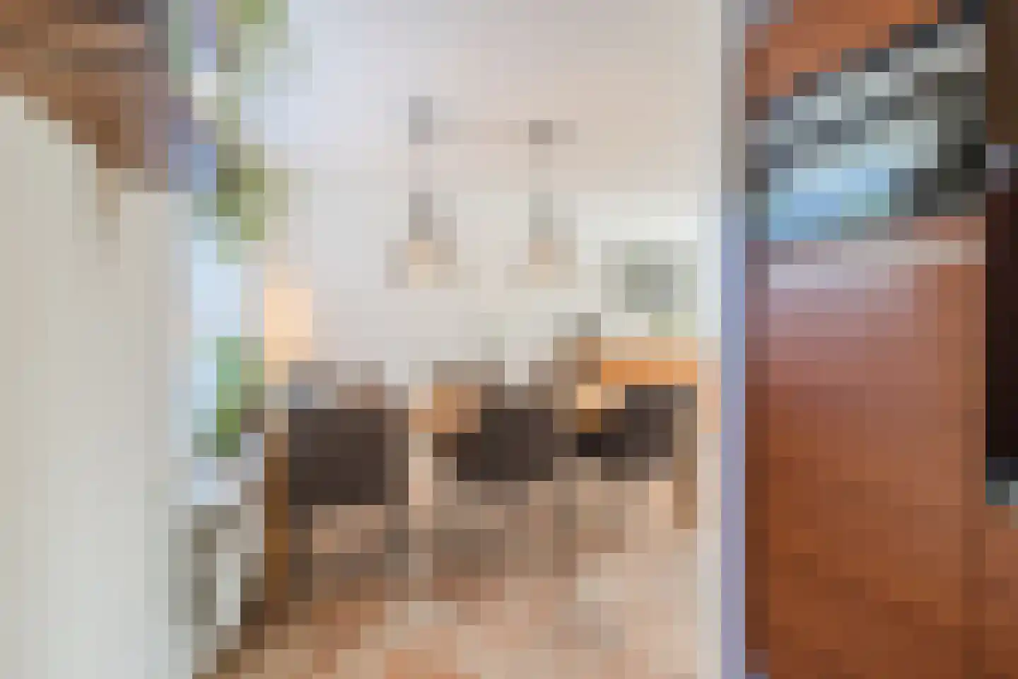 Mokkabruin 23 Zoetermeer thumbnail 10