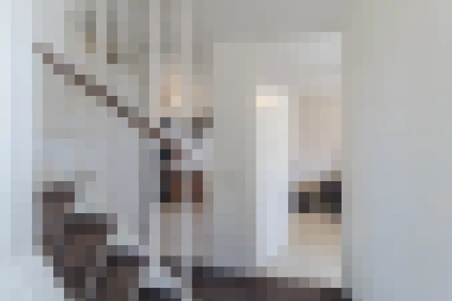 Mokkabruin 23 Zoetermeer thumbnail 14