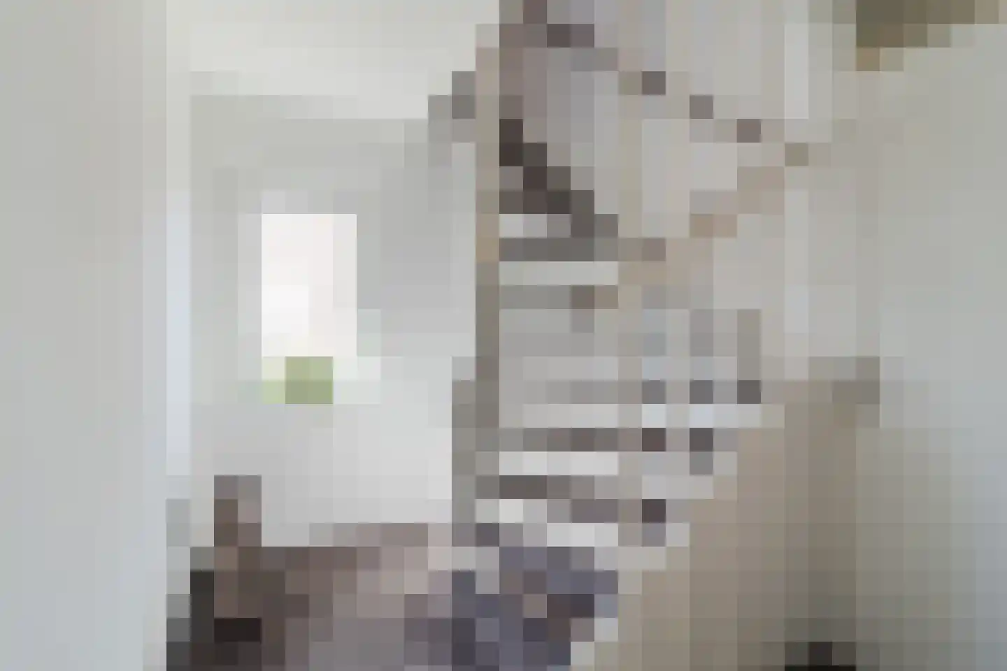 Mokkabruin 23 Zoetermeer thumbnail 14