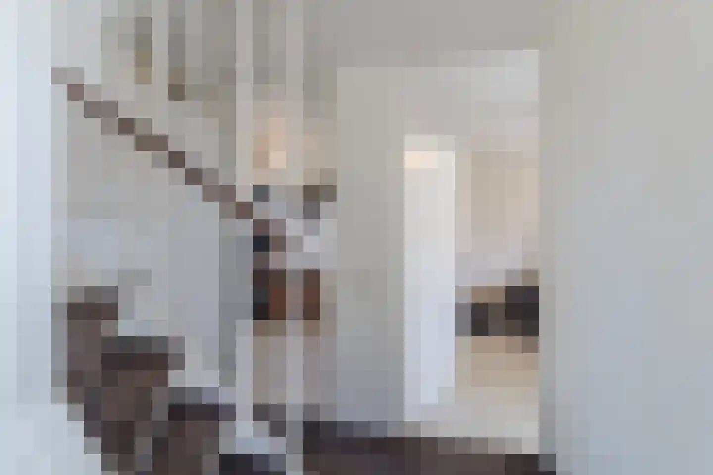 Mokkabruin 23 Zoetermeer thumbnail 15