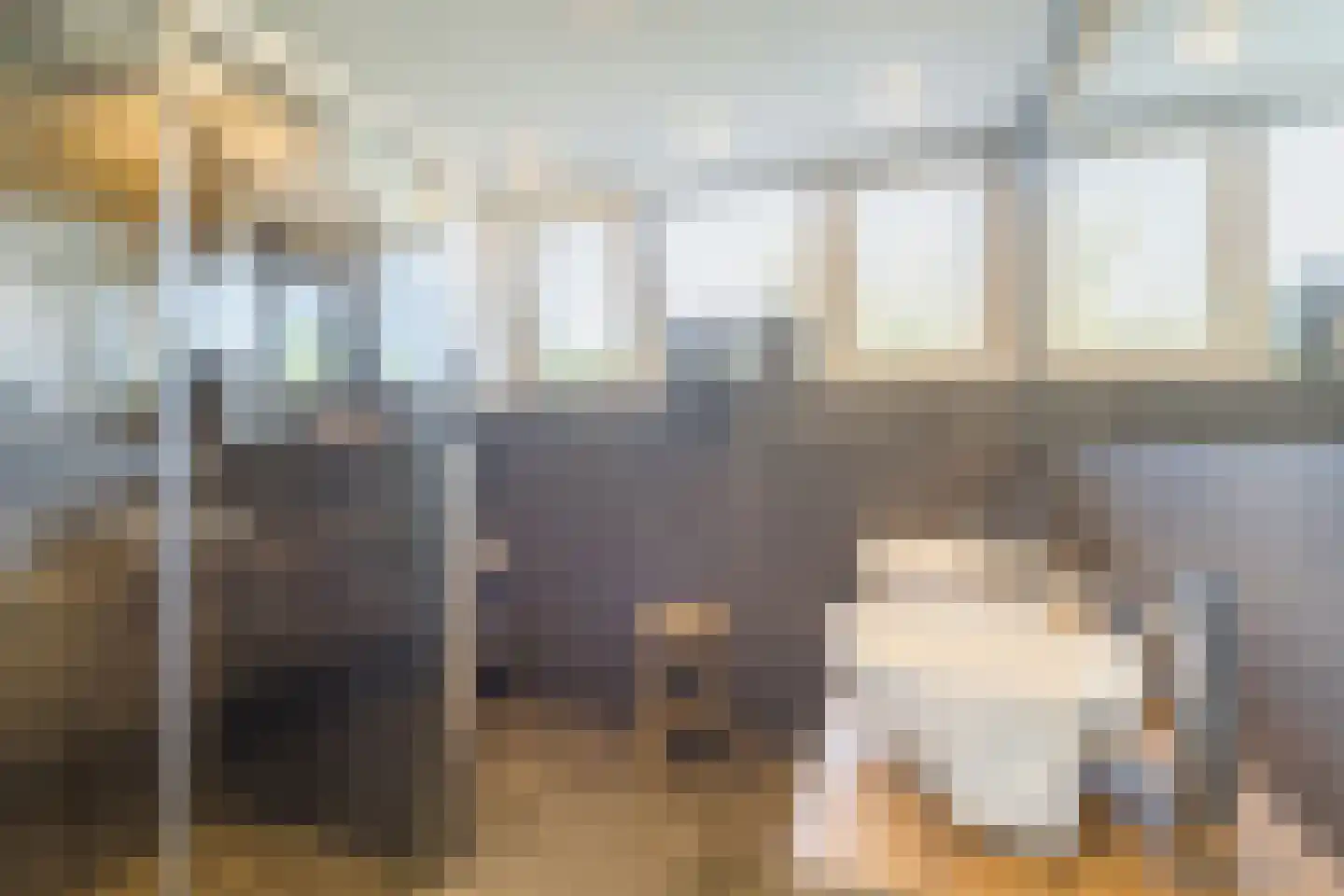 Mokkabruin 23 Zoetermeer thumbnail 16