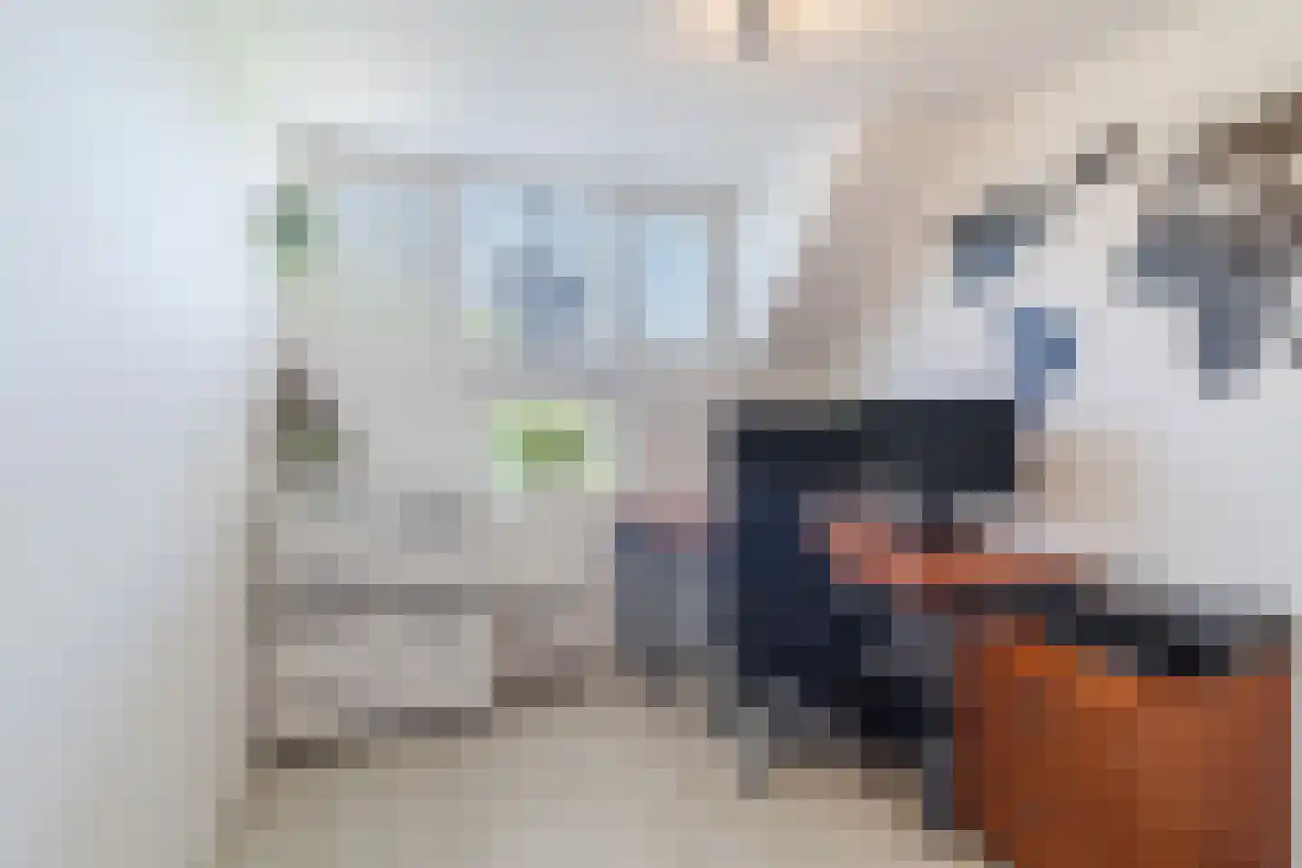 Mokkabruin 23 Zoetermeer thumbnail 19