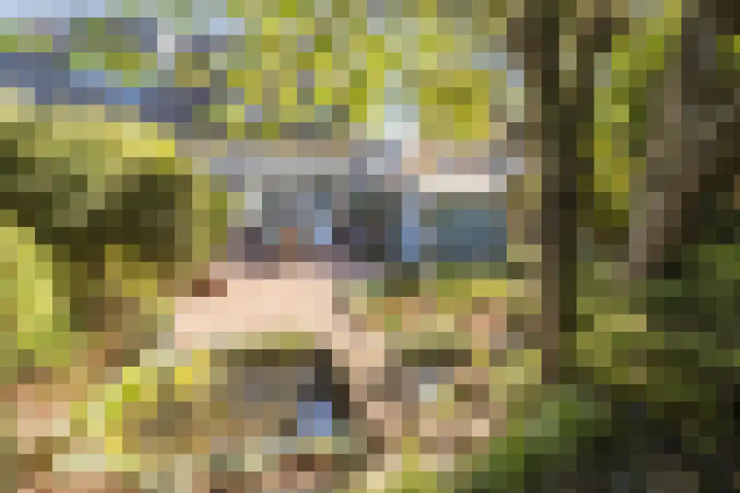 Mokkabruin 23 Zoetermeer thumbnail 22