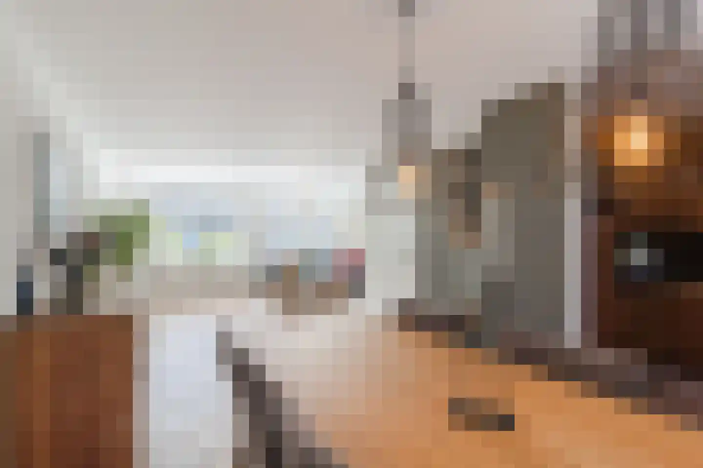 Mokkabruin 23 Zoetermeer thumbnail 6