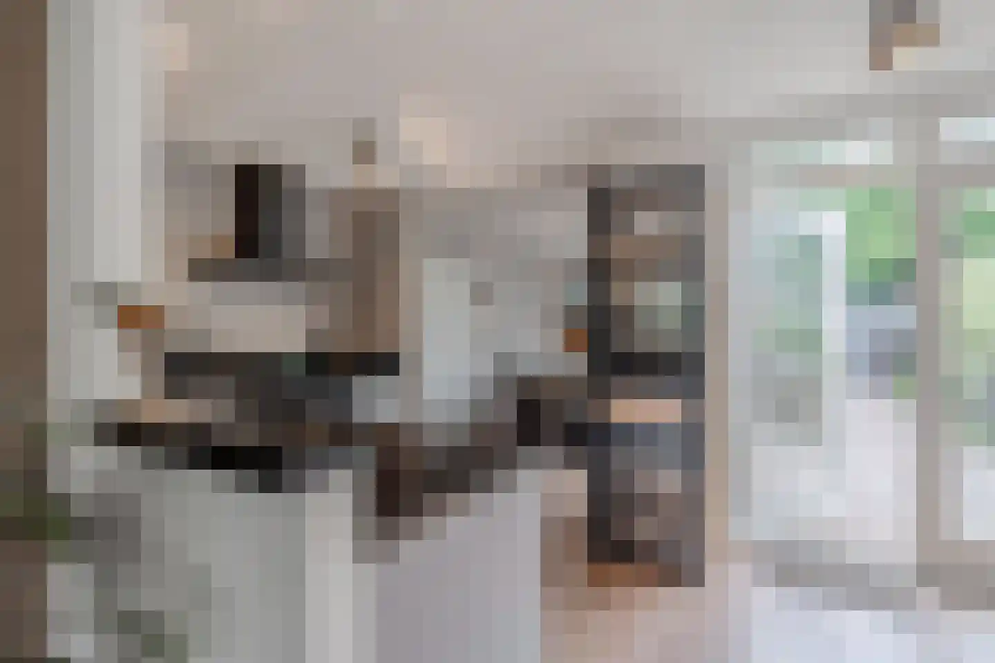 Mokkabruin 27 Zoetermeer thumbnail 12
