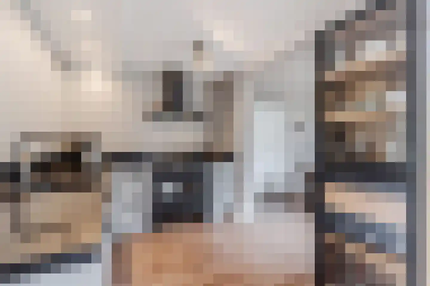 Mokkabruin 27 Zoetermeer thumbnail 13
