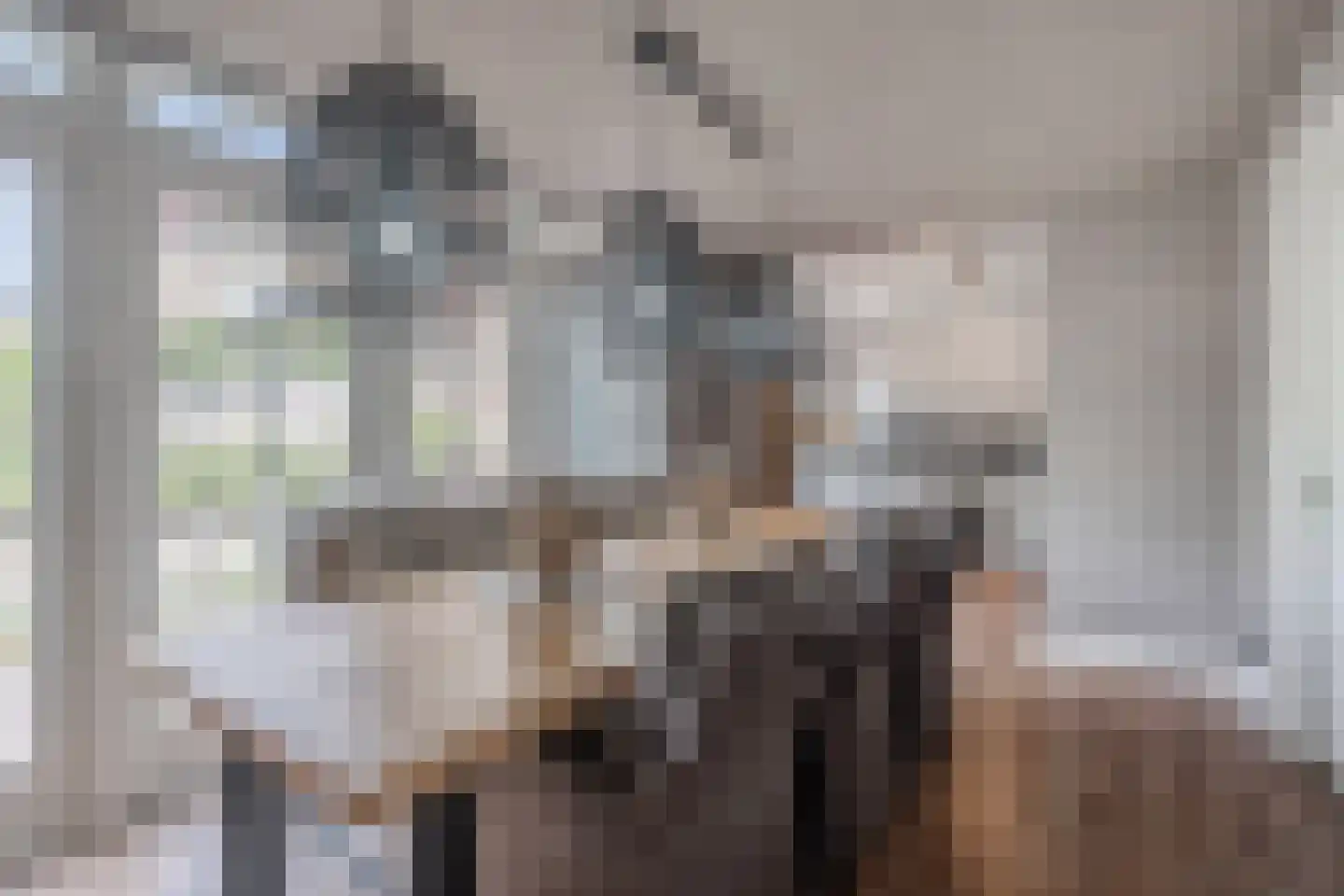 Mokkabruin 27 Zoetermeer thumbnail 19