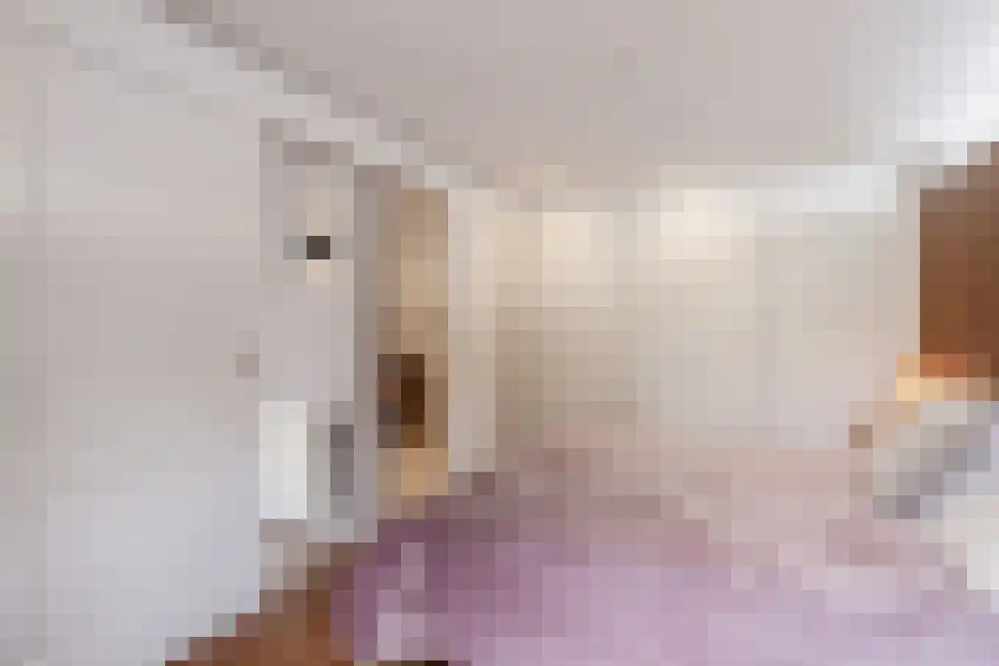 Mokkabruin 27 Zoetermeer thumbnail 22