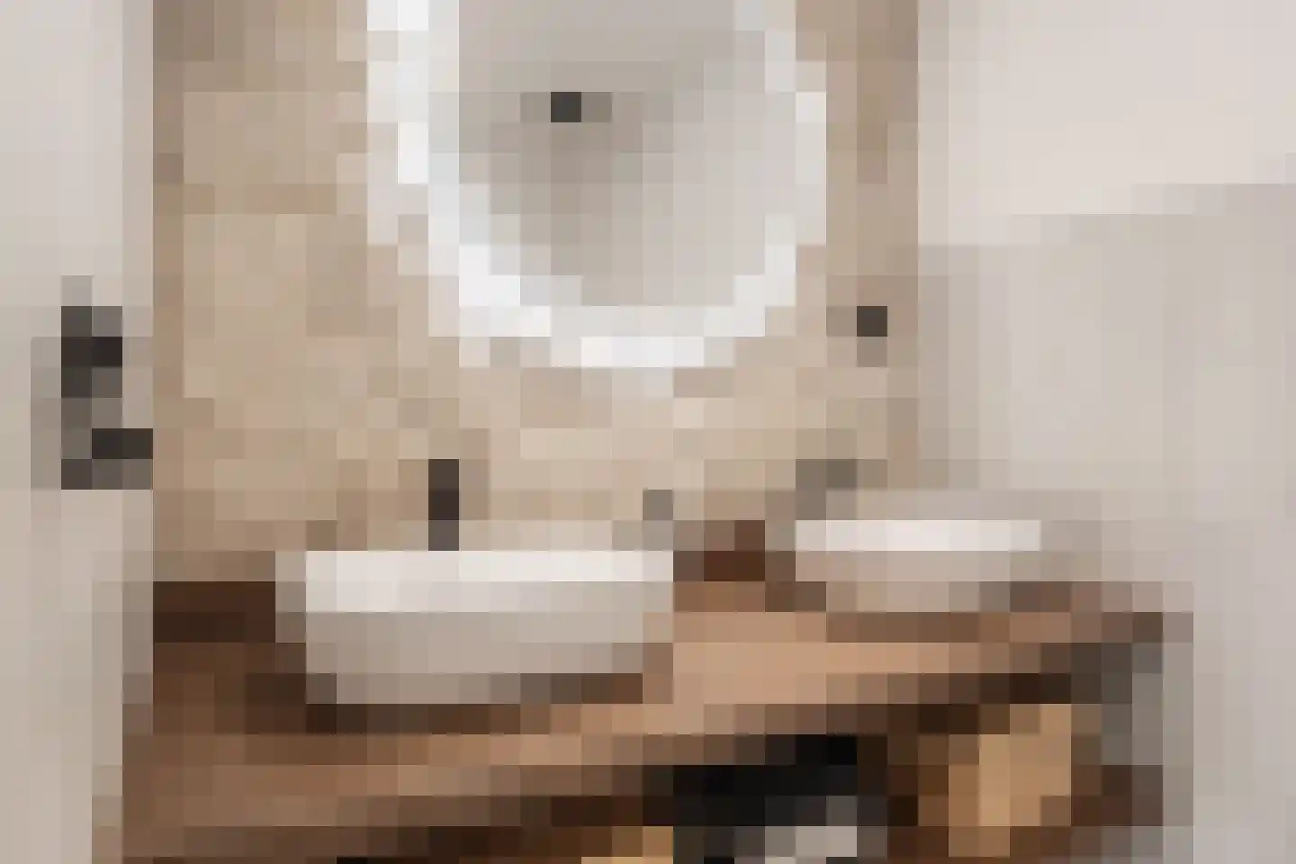Mokkabruin 27 Zoetermeer thumbnail 24