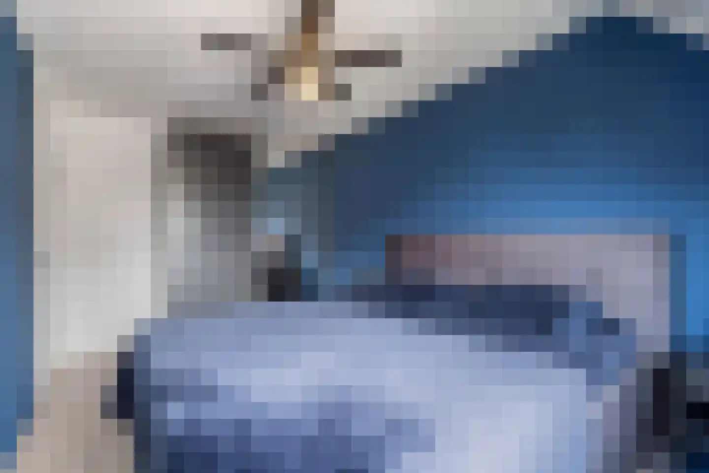 Mokkabruin 27 Zoetermeer thumbnail 28