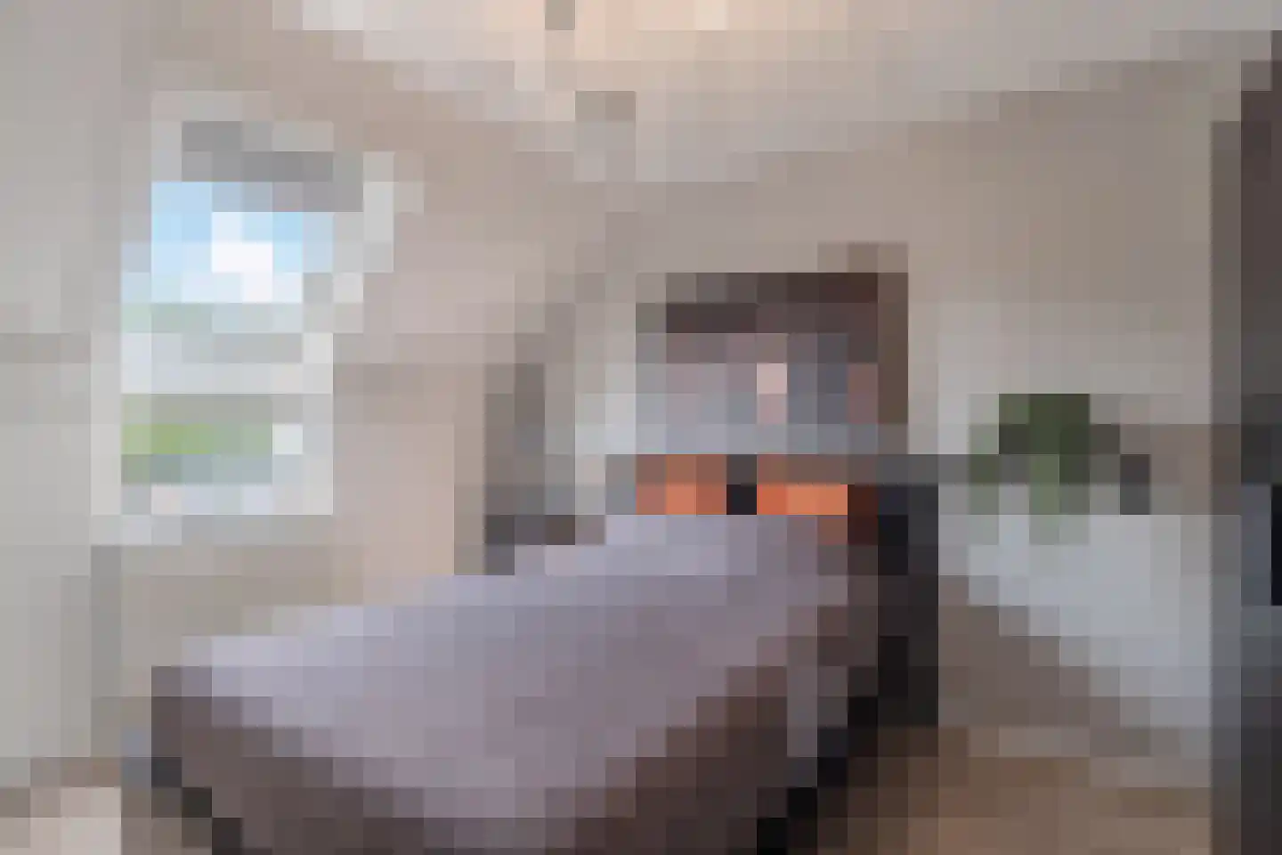 Mokkabruin 27 Zoetermeer thumbnail 30