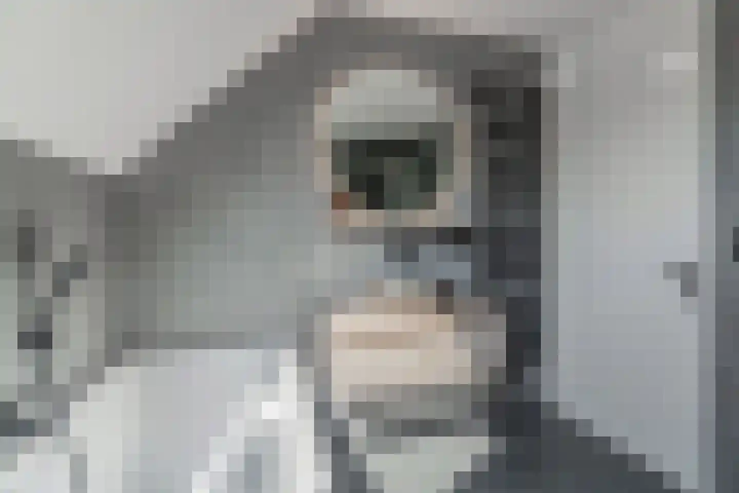 Mokkabruin 27 Zoetermeer thumbnail 34