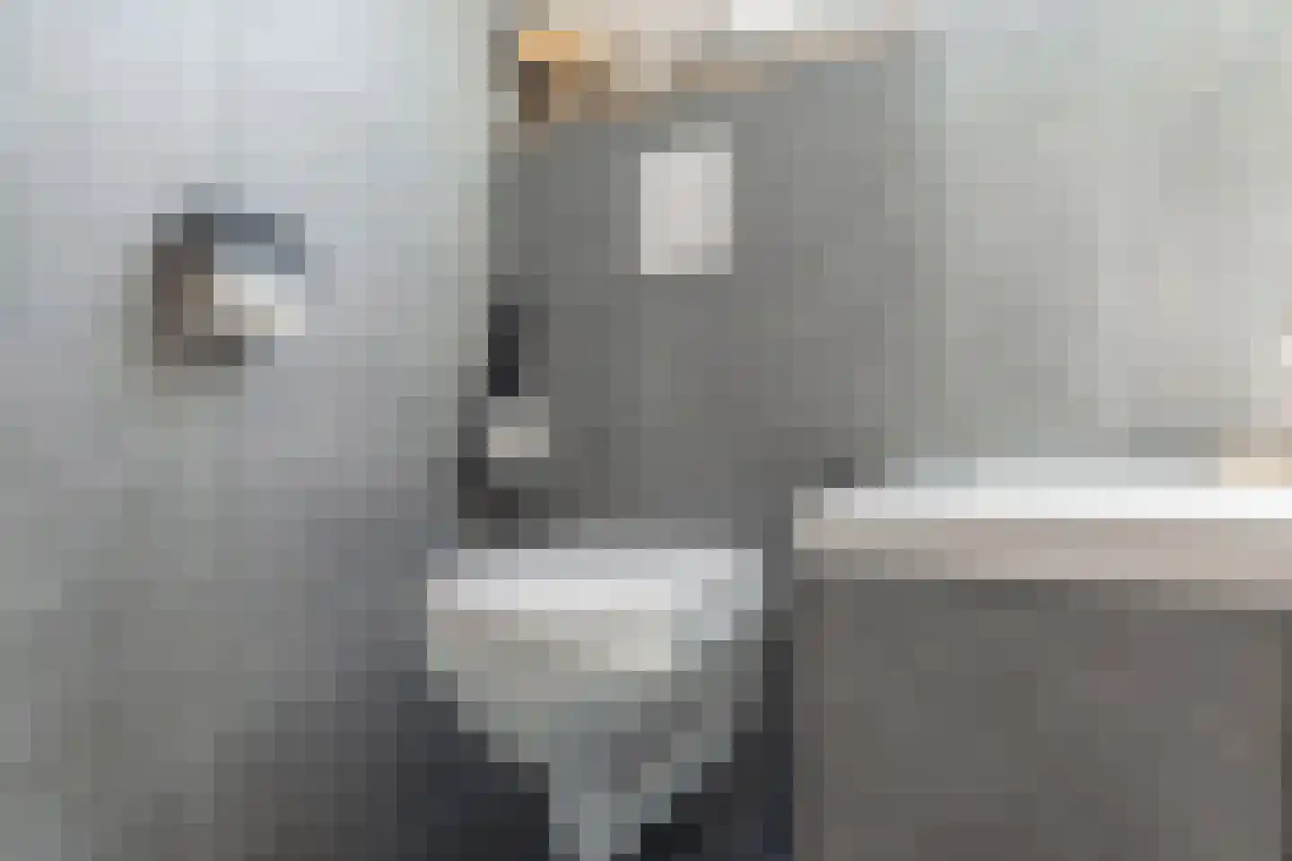 Mokkabruin 27 Zoetermeer thumbnail 35