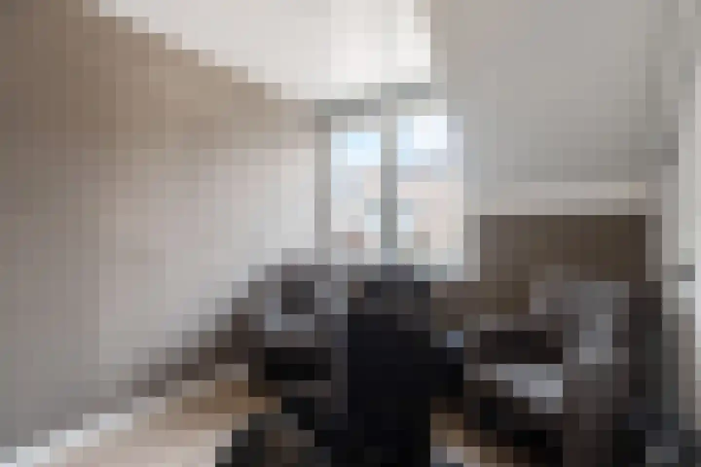 Mokkabruin 27 Zoetermeer thumbnail 37