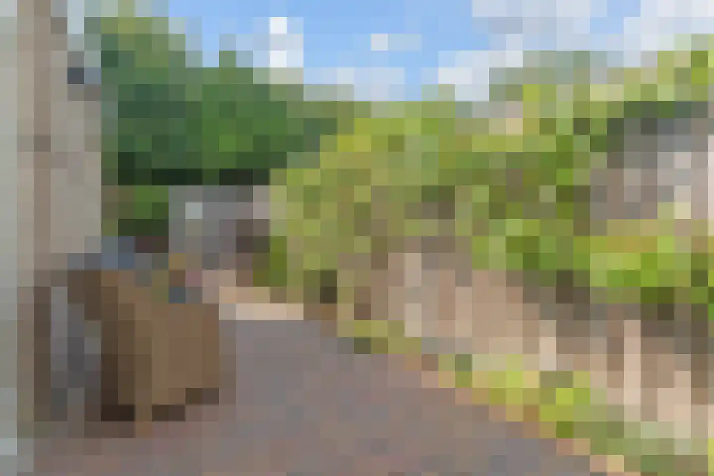 Mokkabruin 27 Zoetermeer thumbnail 45