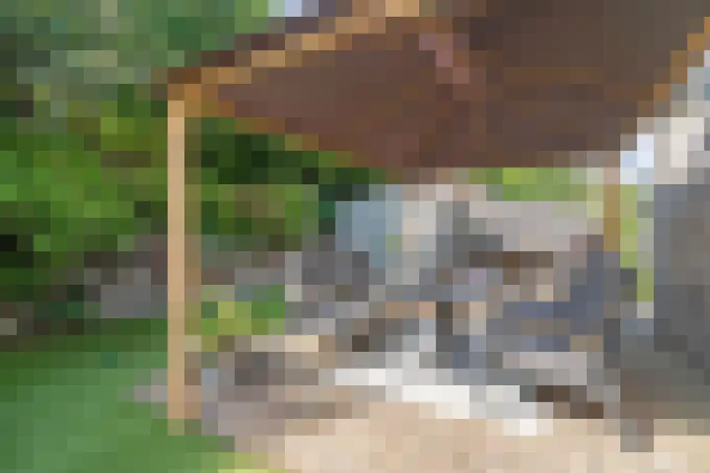 Mokkabruin 27 Zoetermeer thumbnail 47