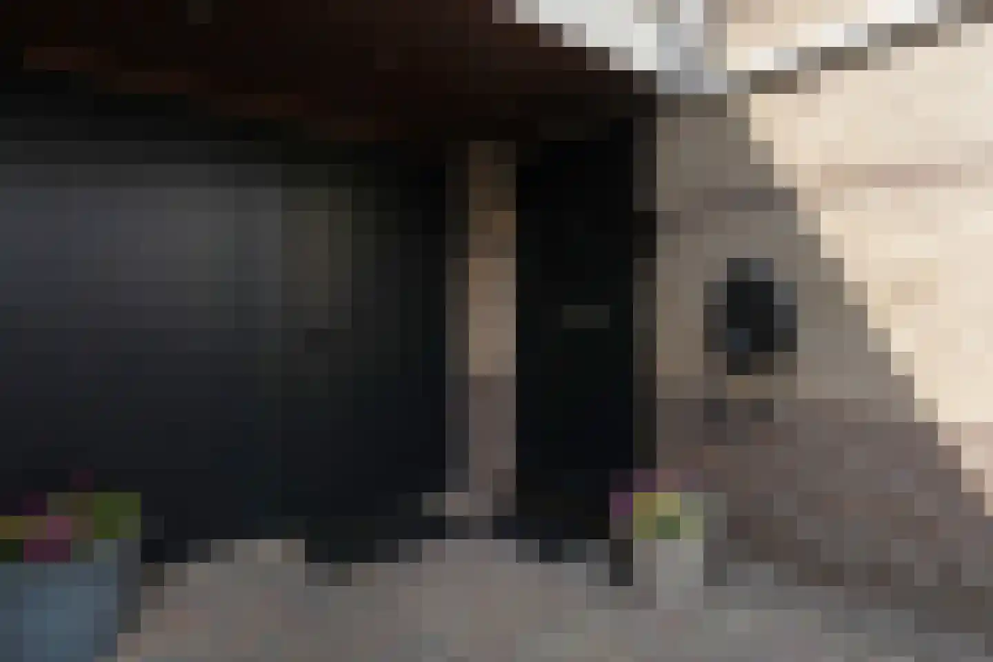 Mokkabruin 27 Zoetermeer thumbnail 5