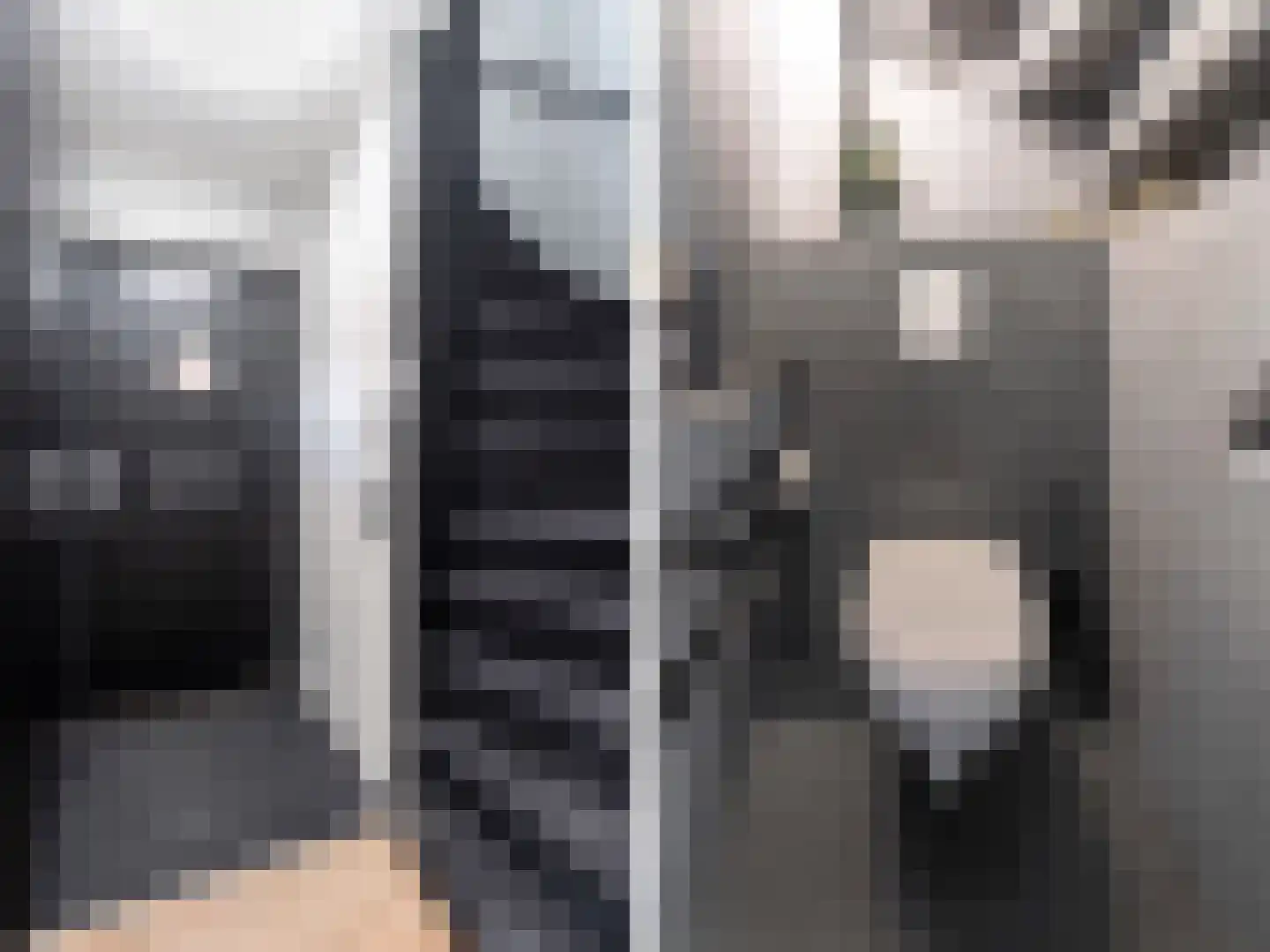 Mokkabruin 27 Zoetermeer thumbnail 6