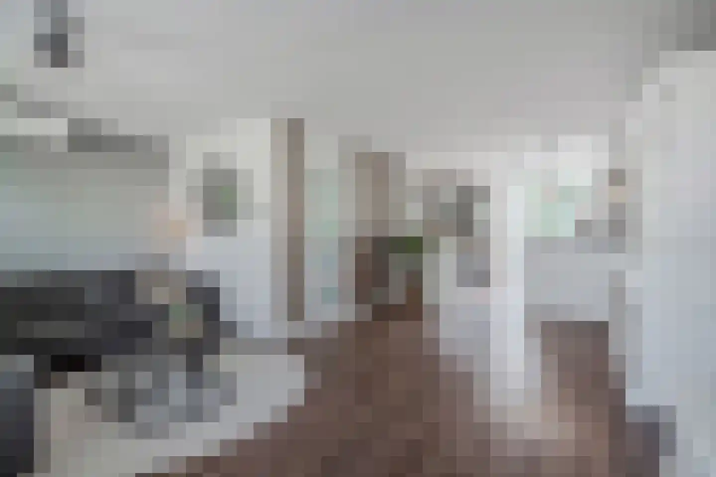 Mokkabruin 27 Zoetermeer thumbnail 8