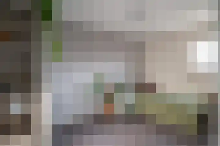 Mokkenland 34 Staphorst thumbnail 21