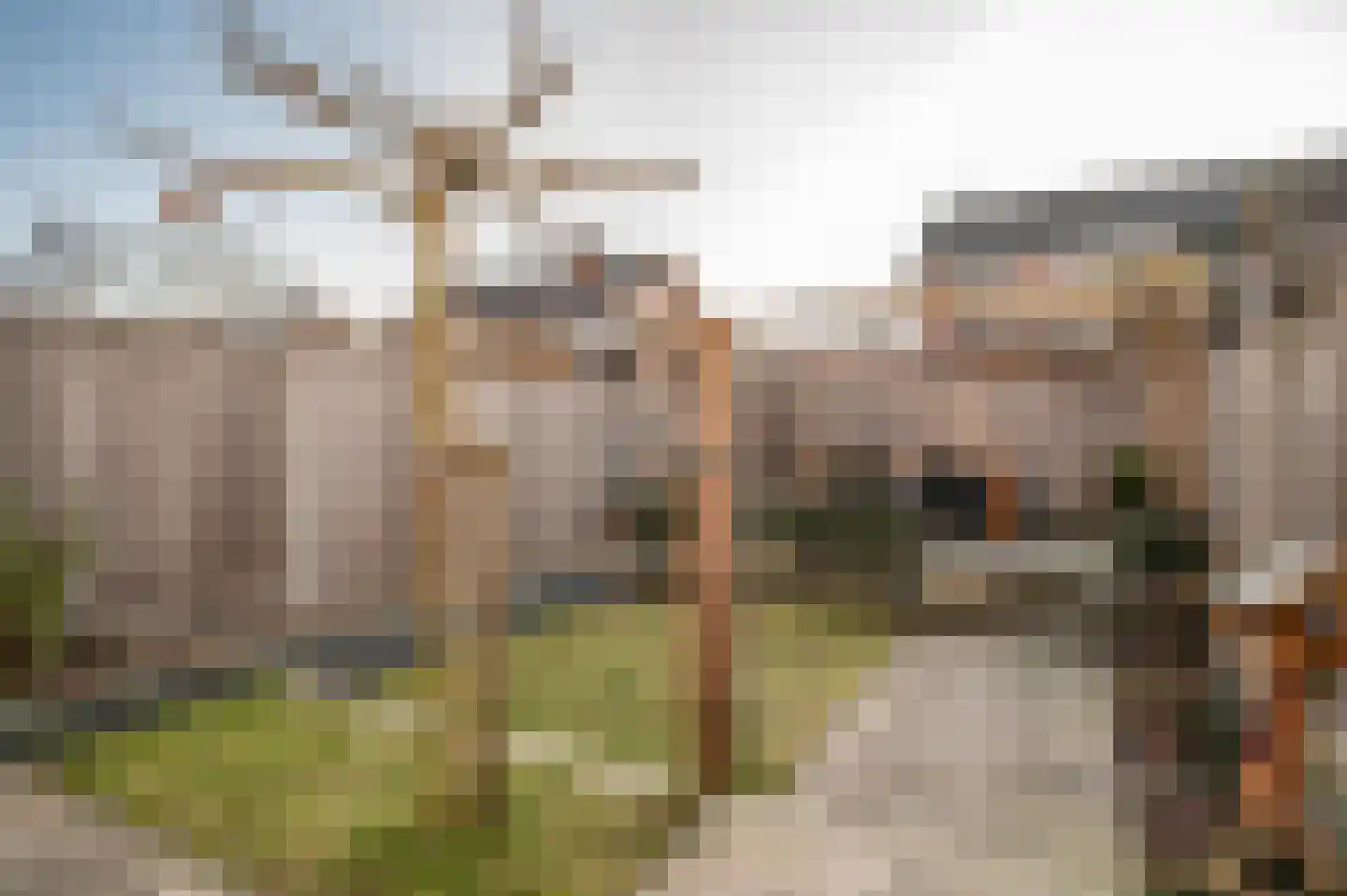 Mokkenland 34 Staphorst thumbnail 33