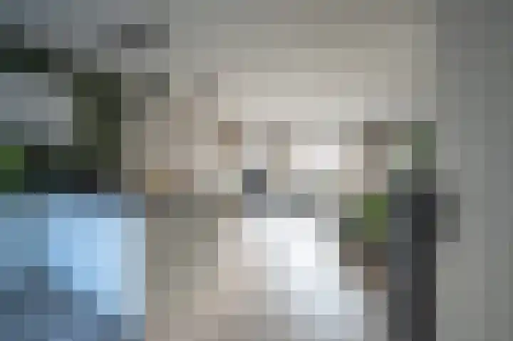 Mokkenland 34 Staphorst thumbnail 5