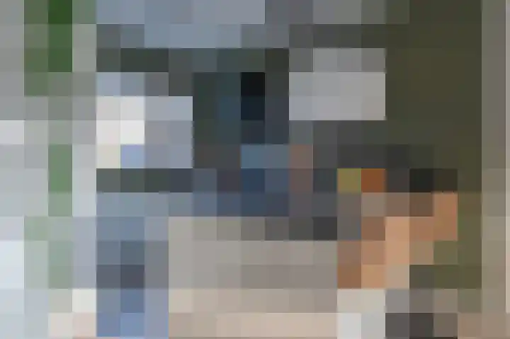 Mokkenland 34 Staphorst thumbnail 8