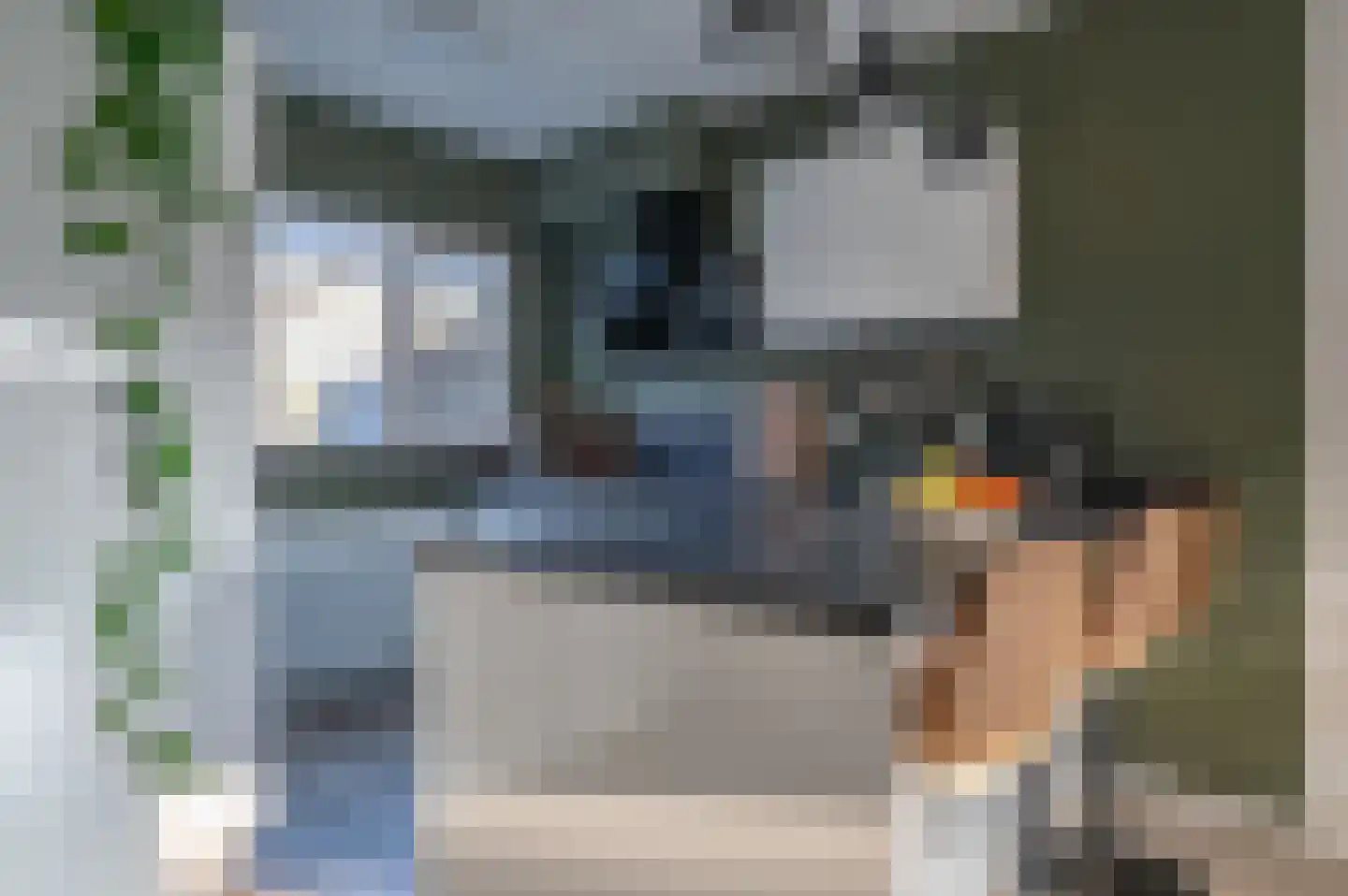Mokkenland 34 Staphorst thumbnail 8