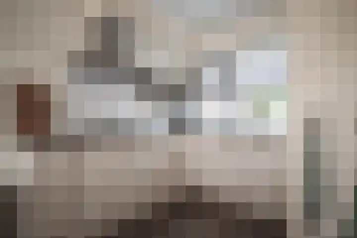 Mokkenland 40 Staphorst thumbnail 12