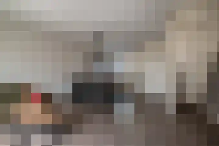 Mokkenland 40 Staphorst thumbnail 13