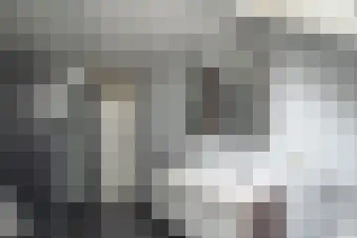 Mokkenland 40 Staphorst thumbnail 19