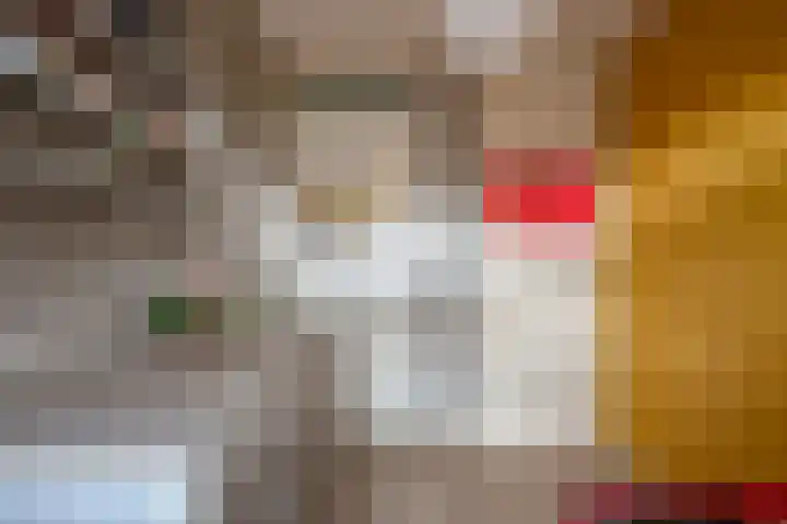 Mokkenland 40 Staphorst thumbnail 21