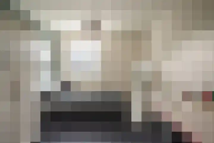 Mokkenland 40 Staphorst thumbnail 28