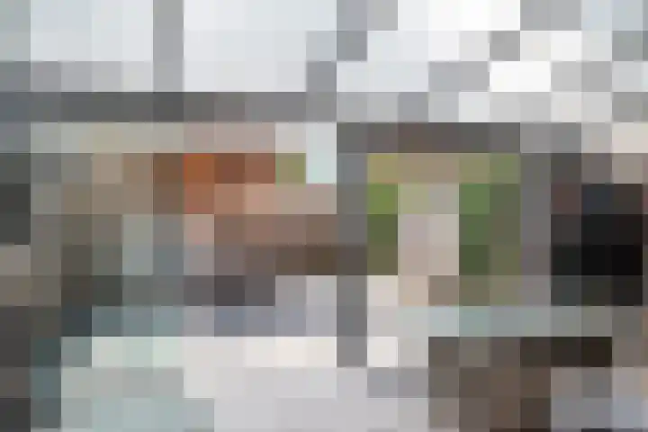 Mokkenland 40 Staphorst thumbnail 30