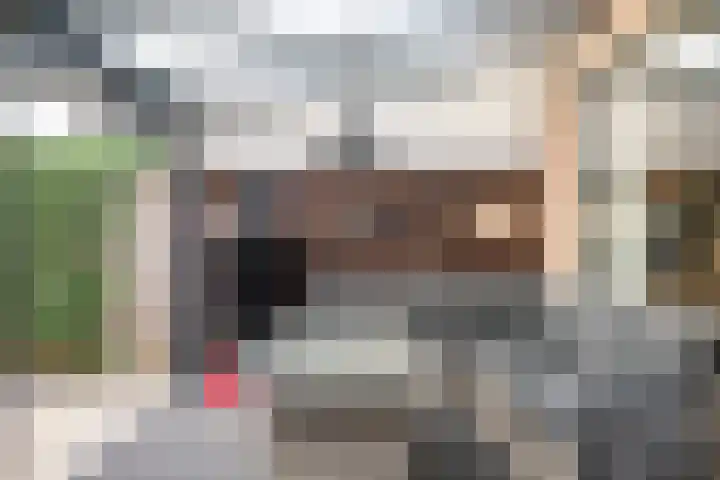Mokkenland 40 Staphorst thumbnail 31