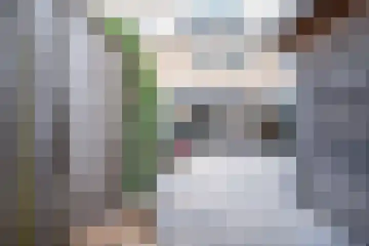 Mokkenland 40 Staphorst thumbnail 32