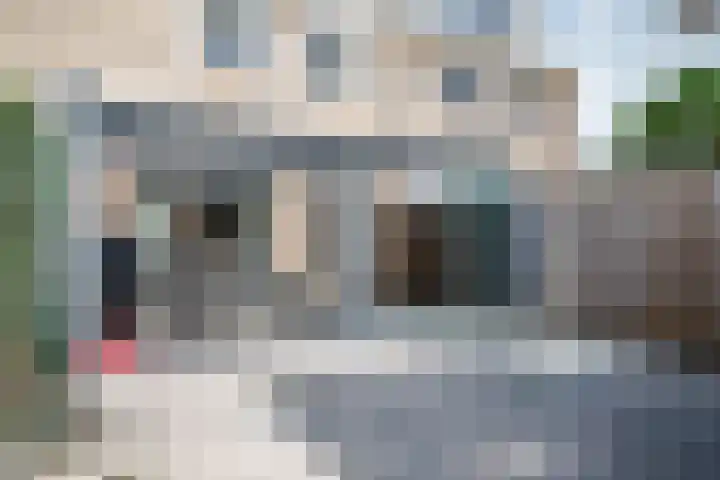 Mokkenland 40 Staphorst thumbnail 33