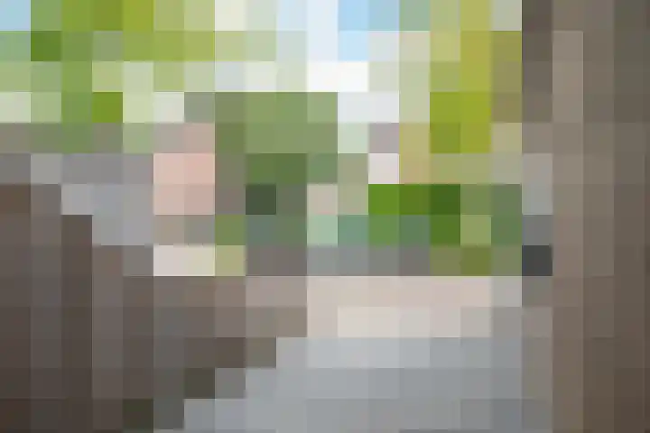 Mokkenland 40 Staphorst thumbnail 4