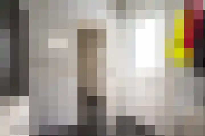 Mokkenland 40 Staphorst thumbnail 8