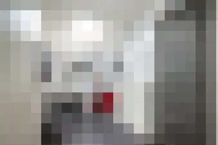 Mokkenland 40 Staphorst thumbnail 9
