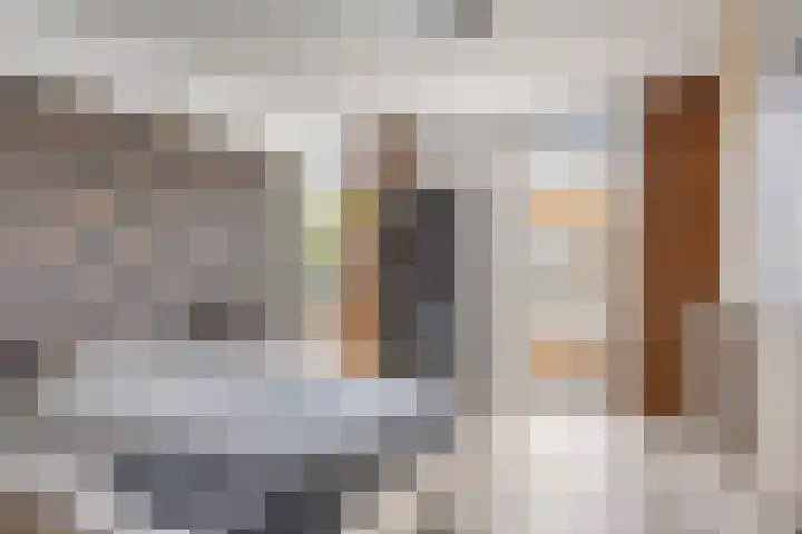 Mokmerstraat 15 Tilburg thumbnail 20