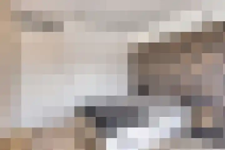 Mokmerstraat 15 Tilburg thumbnail 21