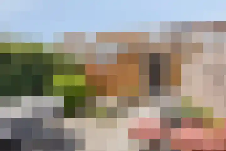 Mokmerstraat 15 Tilburg thumbnail 28