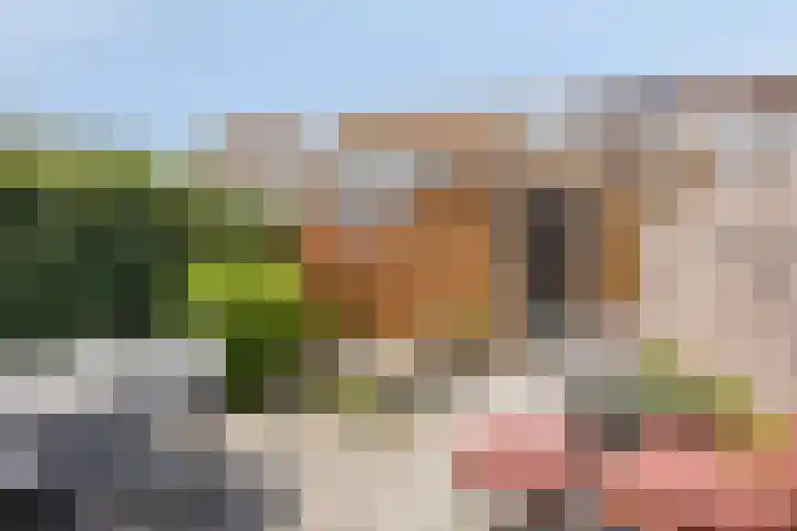 Mokmerstraat 15 Tilburg thumbnail 5