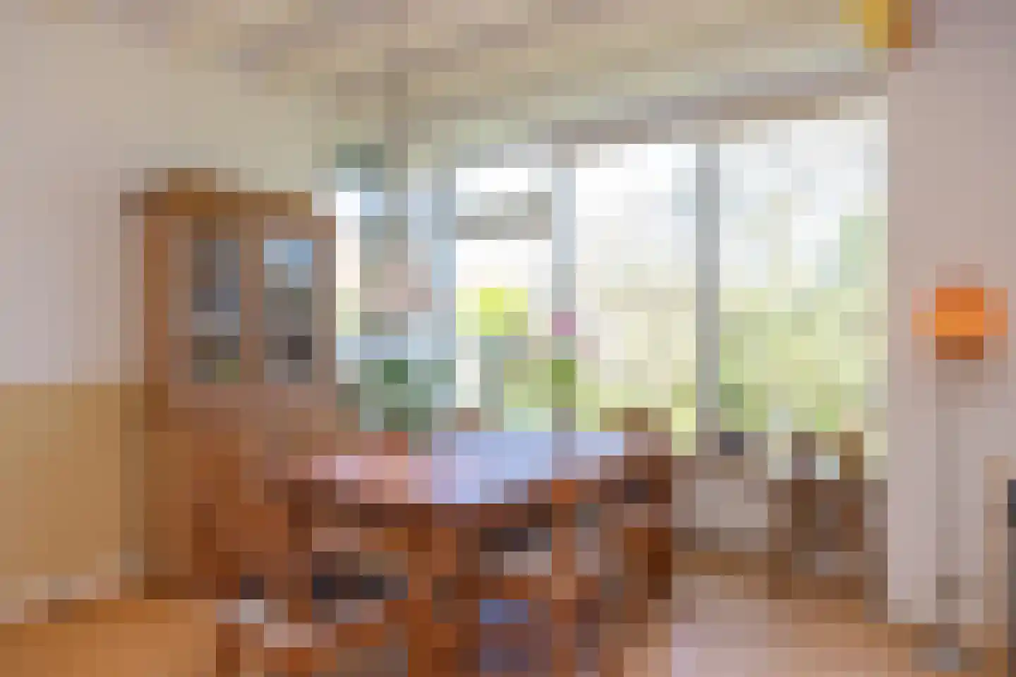 Mokweg 3 Den Hoorn thumbnail 10