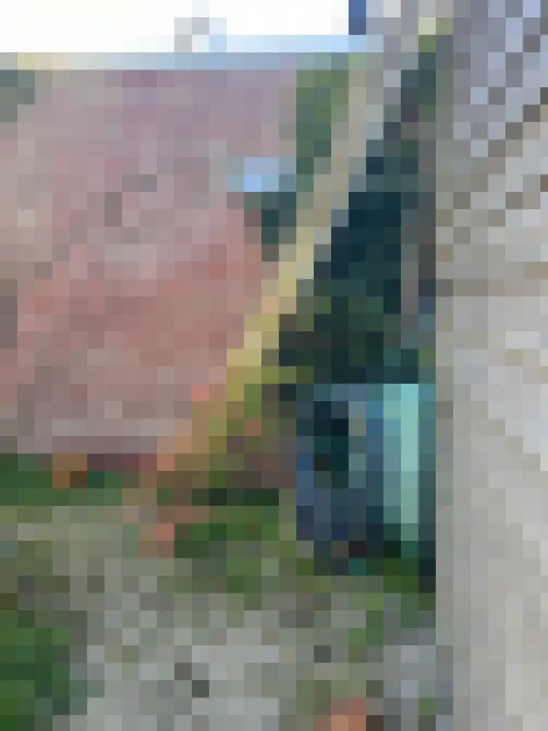 Mokweg 3 Den Hoorn thumbnail 24