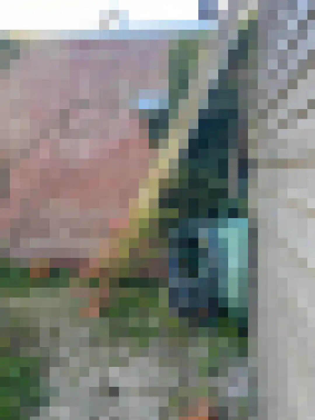 Mokweg 3 Den Hoorn thumbnail 24